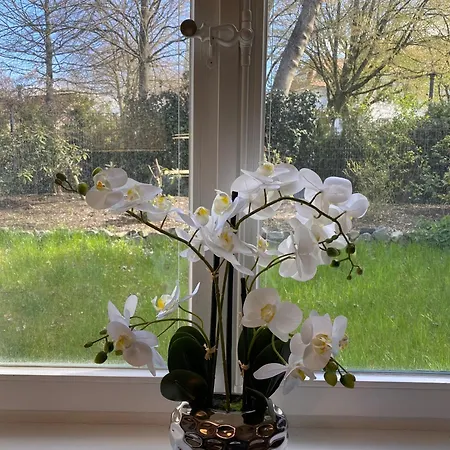 Schlossgarten * Oldenburg